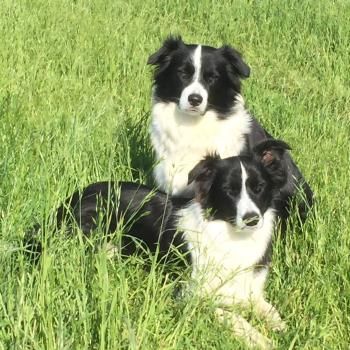 Lottie and Bella